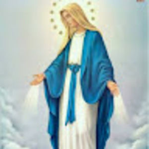 Meet your Posher, Neida